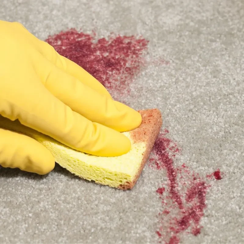 AreaRugs ToughStains | The Design House