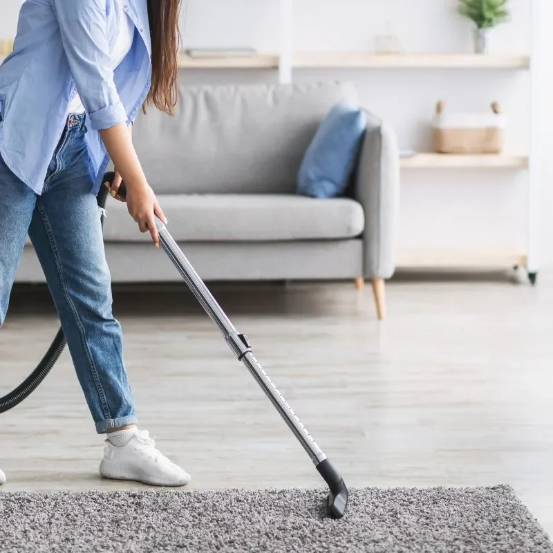 AreaRugsBonus | The Design House