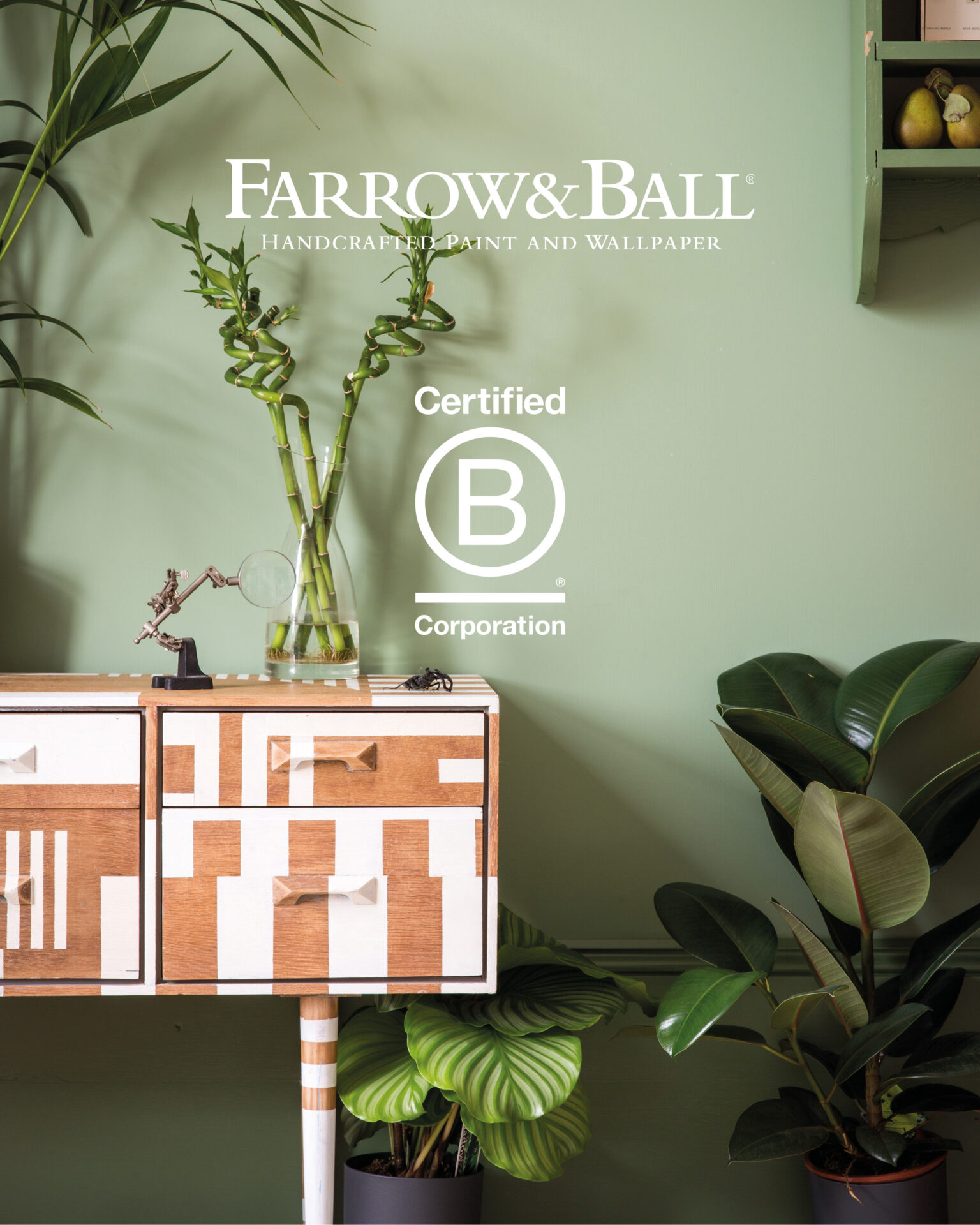 B Corp Stockist Social Assets 81EEM 34EEG | The Design House