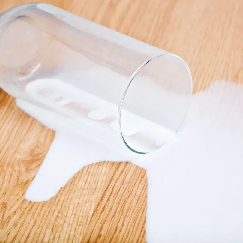 LaminateLiquids | The Design House