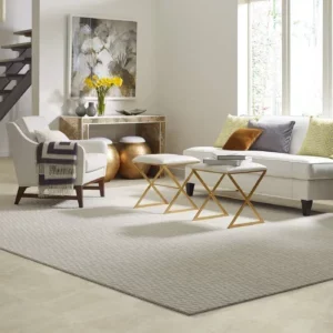 Oasis CS72Q 00200 Beige RUG 300x300 1 | The Design House