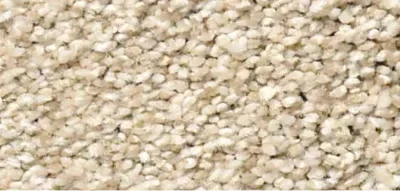 Carpet swatch 8